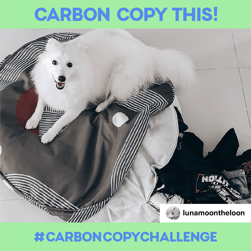 Carbon-Copy-Challenge_Social-Media_Fashion_06